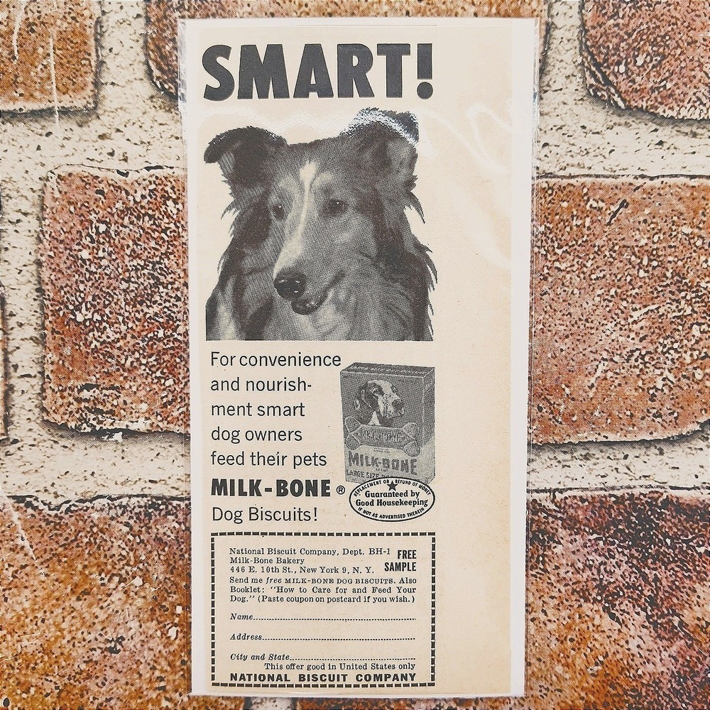 1956 Milk Bone SMART! Collie Dog - Orig Vtg Print‎ Ad greyscale